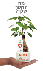 מסרים ממותגים בעציצים, ישראל רף 0522978583